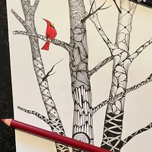 Zentangle Workshop: Winter Birches & Cardinal